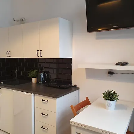 Apartament Studio Bursztyn & Parking