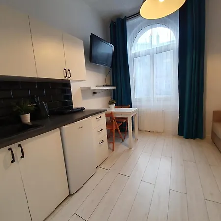 Apartment Studio Bursztyn & Parking *